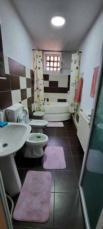 Apartament La Denis Bîrlad Dış mekan fotoğraf