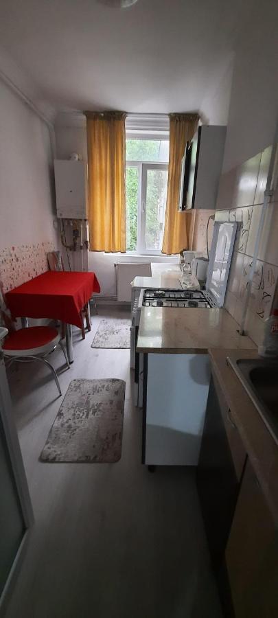 Apartament La Denis Bîrlad Dış mekan fotoğraf