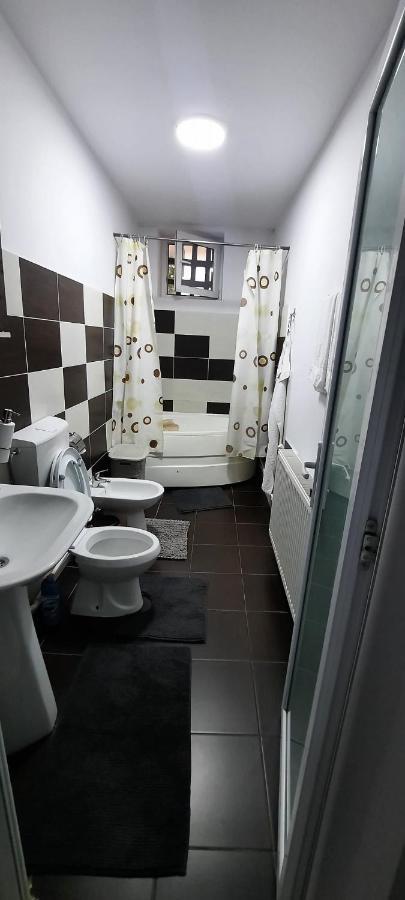 Apartament La Denis Bîrlad Dış mekan fotoğraf